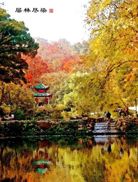 層林盡染.JPG