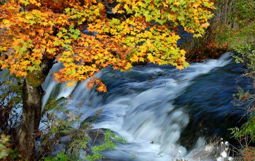 九寨風光（中山梁紅輝）.JPG